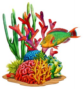 Coral Reef Porcelain Pool Mosaic by Custom Mosaics, Inc. | PORC-CR82 ...